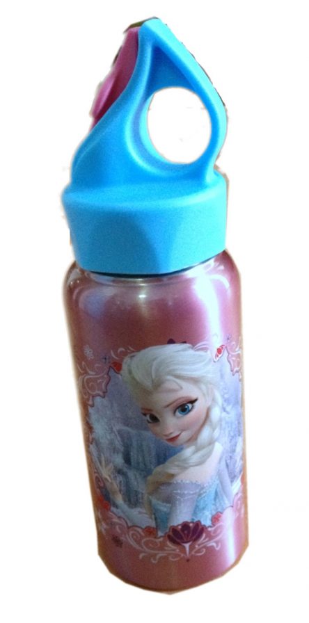 Disney Frozen Elsa & Anna Stainless Steel Drink Bottle